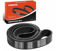 A-Premium Courroie d'entraînement serpentine robuste compatible avec Blue Bird, Freightliner, Sterling Truck, Thomas et Western Star Cars - Vision School Bus, Condor, FL112, FLD120, 4900SA et plus