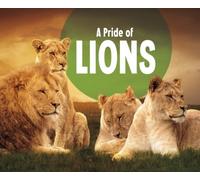 A Pride Of Lions
