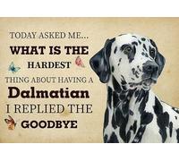 À Propos D'Avoir Un Chien Dalmatien, J'Ai Répondu Au Revoir Tapis De Bain Résistant Paillasson Exterieur Imperméable Paillasson pour Accessoires Maison Douche Porte D'Entrée 40 X 60Cm