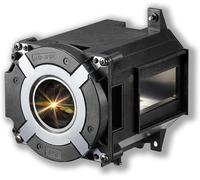 A++ Qualité Pour Lampe Nec Np42Lp/100014502 Pa653U / Pa653Ul / Pa703W / Pa803U / Pa853W / Pa903X Vidéoprojecteur