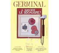 À quoi bon le socialisme?