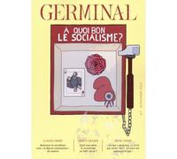 À quoi bon le socialisme? - Collectif - Le Bord De L'eau Eds - broché - Revue