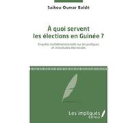 A Quoi Servent Les Élections En Guinée ? - Enquête Multidimensionnelle Sur Les Pratiques Et Vicissitudes Électorales