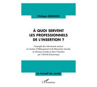 A quoi servent les professionnels de l'insertion ? L'exemple des intervenants sociaux en Centres d'Hébergement et de Réinsertion Sociale, en Missions Locales et dans l'Insertion par l'Activité Economi