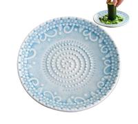 à râper l'ail - Bol râpeur | Assiette Râpeuse en Céramique | pour râper gingembre, carottes, tomates, citron, beurre, autres aliments, et préparer purées de légumes sur le plan de travail pour la