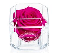 A Real Rose That Lasts A Year - White Gold Solo (Hot Pink)