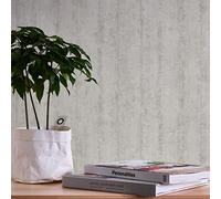A.S. Création 367051 36705-1 Papier peint intissé aspect béton vintage 10,05 x 0,53 m Beige/gris