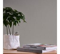 A.S. Création 387448 Nara Papier peint intissé uni Gris taupe 10,05 x 0,53 m
