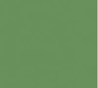A.S. Creation AP Longlife Colours | 307291 | Papier peint intissé Monochrome | 1,06 m x 21 m | Vert