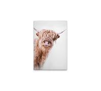 A.S. Création DD132235 Impression sur toile Motif animaux de vache Blanc/marron 50 x 70 cm