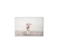 A.S. Création DD132250 Impression sur toile Motif animaux de vache Beige Cerme Blanc Crème 70 x 50 cm