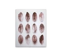 A.S. Création DD132892 Impression sur toile Motif plumes Rose/gris 40 x 50 cm