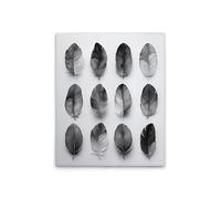 A.S. Création DD132893 Impression sur toile Motif plumes grises Noir/gris 40 x 50 cm