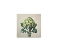 A.S. Création DD132953 Romanesco Tableau mural en crème Beige 50 x 50 cm
