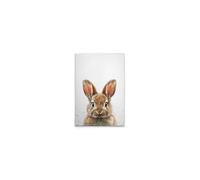 A.S. Création DD133004 Impression sur toile pour chambre d'enfant Motif bébé lapin Blanc/marron 40 x 60 cm