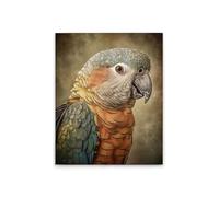 A.S. Création DD133347 Impression sur toile Motif perroquet Multicolore Orange 40 x 50 cm