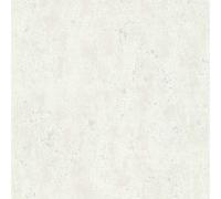 A.S. Creation Elements 366002 Papier peint intissé béton 0.53 x 10.05 m