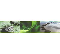 A.S. Création Frise murale autocollant Stick Ups brun vert noir 5,00 m x 0,10 m 905611