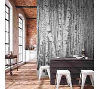 A.S. Creation Livingwalls Papier peint photo The Wall 382591 Un rouleau Un motif 3.71 x 2.80 m Forêt de bouleaux Noir