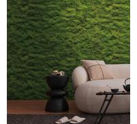 A.S. Creation Papier peint 398391 1 motif par rouleau Forêt Plantes Vert