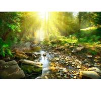 A.S. Création Papier peint Brook 3,75 m x 2,50 m - WALLLOVE Papier peint Ruisseau de forêt en vert, marron colle incluse - DD129574