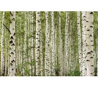 A.S. Création Papier peint Cloudy Beach 3,75 m x 2,50 m - WALLLOVE Papier peint Fauteuil de plage en beige, bleu y compris colle - DD129577