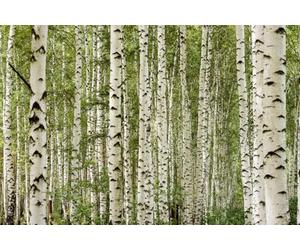 A.S. Création Papier peint Cloudy Beach 3,75 m x 2,50 m - WALLLOVE Papier peint Fauteuil de plage en beige, bleu y compris colle - DD129577