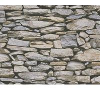 A.S. Création Papier peint Dekora Natur 6 958202 beige/Gris/Noir