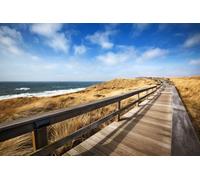 A.S. Création Papier peint Dune Bar 3,75 m x 2,50 m - WALLLOVE Papier peint Passerelle de dunes et plage en beige, bleu y compris colle - DD129572