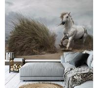 A.S. Création Papier peint intissé Chevaux White Wild Horse DD118925 Animaux papier peint