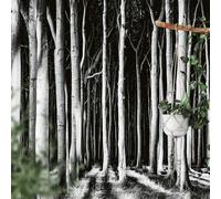 A.S. Création Papier peint intissé - Ghost Forest DD118939 Papier peint forêt