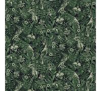 A.S. Création Papier Peint Intissé Greenery Effet Jungle Avec Oiseaux - Vert et Noir - 10,05 m x 0,53 m - 372101 37210-1