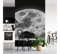 A.S. Création Papier peint intissé Lune - Moon and Birds DD119153 Ciel étoilé