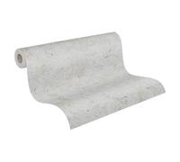 A.S. Création Papier Peint Intissé - Papier Peint Effet Béton en Gris - Papier Peint pour Diverses Pièces - Tapisserie Papier Peint de 10,05 m x 0,53 m