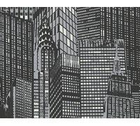 A.S. Création papier peint intissé papier peint lumineux Day & Night glow in the dark gris noir 10,05 m x 0,53 m 252845