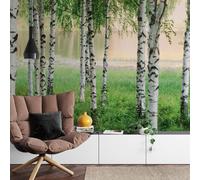 A.S. Création Papier peint non tissé Forêt de bouleaux Nordic Forest DD119007 Forêt Designwall