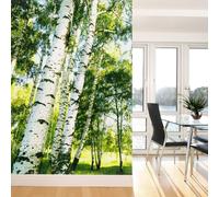 A.S. Création Papier peint non tissé Forêt de bouleaux Sunshine Forest DD119119 Designwalls