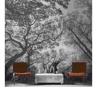 A.S. Creation Papier peint photo 382401 Un motif par rouleau Aspect naturel Gris