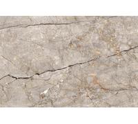 A.S. Création Papier peint photo Classic Marble 3,75 m x 2,50 m - WALLLOVE Papier peint Marbre blanc et or avec colle - DD129587