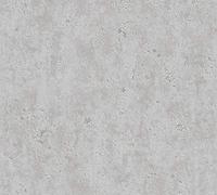 A.S. Création Papier Peint Uni Elements Papier peint intissé - 10,05m x 0,53m - Gris Fabriqué en Allemagne 366004 36600-4