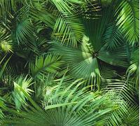 A.S. Creation Pop.up Panel 3D | 368441 | Film autocollant aspect naturel | 0,52 m x 2,5 m | Beige