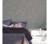 A.S. Création Terra 389223 Papier peint intissé Uni Gris 10,05 m x 0,53 m Fabriqué en Allemagne