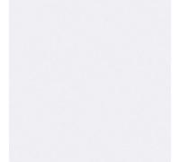 A.S. Création THERMOWALL 393861 Papier peint isolant thermique à peindre Blanc 10,05 x 1,06 m