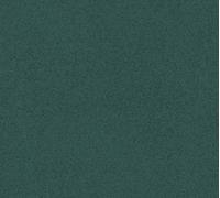A.S. Création Unitapete New Elegance papier peint uni papier peint intissé vert 10,05 m x 0,53 m
