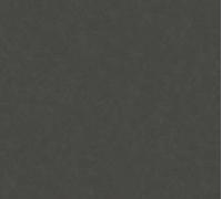 A.S. Création Unitapete New Life papier peint uni papier peint intissé noir anthracite 10,05 m x 0,53 m