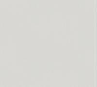 A.S. Creation TrendWall 2 379795 Papier peint intissé uni 0.53 m x 10.05 m Gris