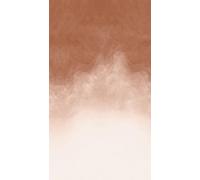 A.S. Création Vibes & Styles Papier peint intissé - Atmosphère chaleureuse avec botanique, géométrie et effet 3D - Vinyle dégradé aquarelle - 1,59 m x 2,80 m - Marron/crème - 792164