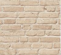 A.S. Création Vliestapete Best of Wood`n Stone 2nd Edition Tapete beige 10,05 m x 0,53 m 355812 35581-2