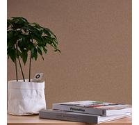 A.S. Création Papier peint intissé WTD 389262 uni Marron Terra 10,05 x 0,53 m