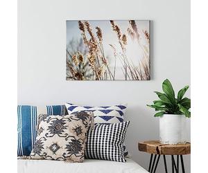 A.S. Création WTD Toile décorative sur châssis Motif herbe de la pampa Beige Bleu 70 x 50 cm Format paysage